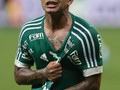 Campeo Copa do Brasil 2015 (credito: Palmeiras)