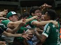 Campeo Copa do Brasil 2015 (credito: Palmeiras)