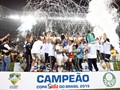 Campeo Copa do Brasil 2015 (credito: Palmeiras)
