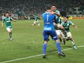 Campeo Copa do Brasil 2015 (credito: Palmeiras)