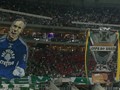 Campeo Copa do Brasil 2015 (credito: Palmeiras)