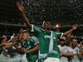 Campeo Copa do Brasil 2015 (credito: Palmeiras)