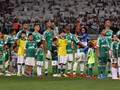 Campeo Copa do Brasil 2015 (credito: Palmeiras)