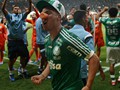 Campeo Copa do Brasil 2015 (credito: Palmeiras)