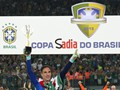 Campeo Copa do Brasil 2015 (credito: Palmeiras)