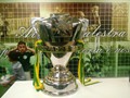Campeo Copa do Brasil 2015 (credito: Palmeiras)