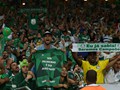 Campeo Copa do Brasil 2015 (credito: Palmeiras)